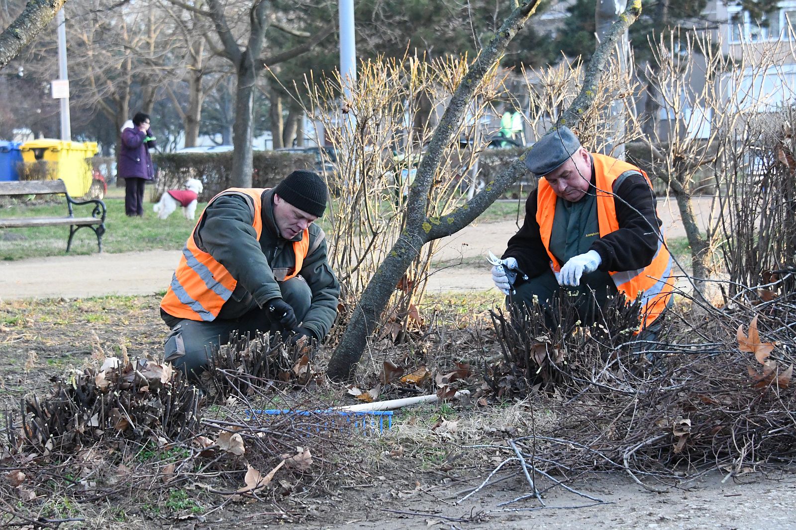 Városszerte elkezdték a tavasz eleji parkfenntartó munkát a kertészek